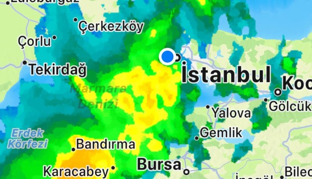 YTÜ'nün 114. Yıl Dönümünde 114 Fidan Dikimi 